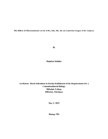 The Effect of Micronutrient Levels of Fe, Mn, Mo, Zn on Catawba Grapes (Vitis vinifera)