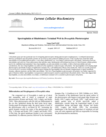Current Cellular Biochemistry Spectraplakin at Rhabdomere Terminal Web in Drosophila Photoreceptor