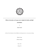 Effects of atrazine on Xenopus laevis tadpole fat bodies and lipid metabolism